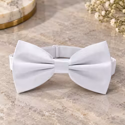 Vit herrfluga i elegant klassisk stil