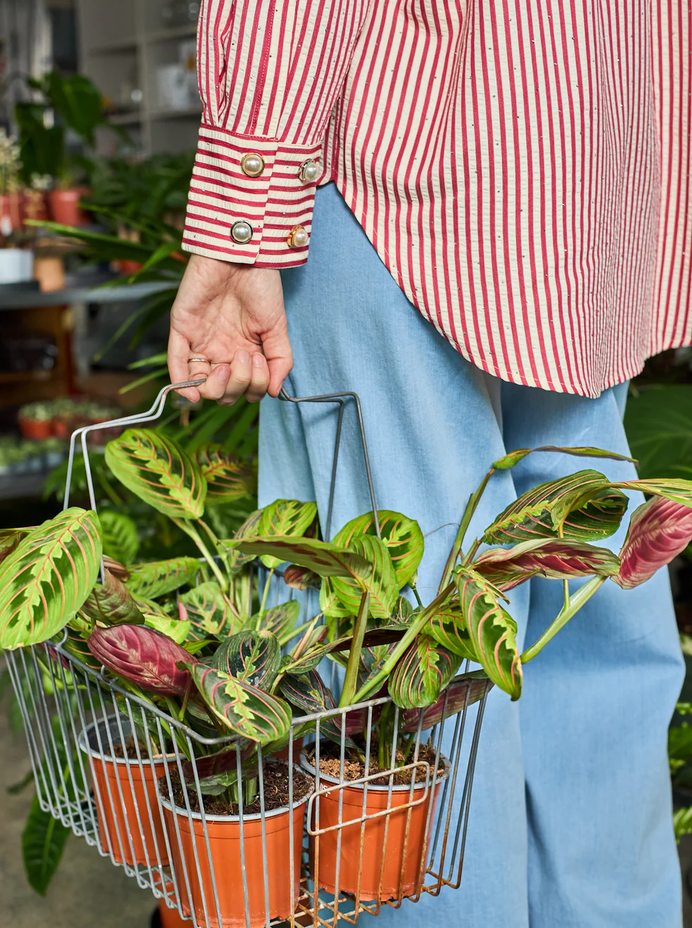 Kopia Pärlor/guld knappsmycken 2p
