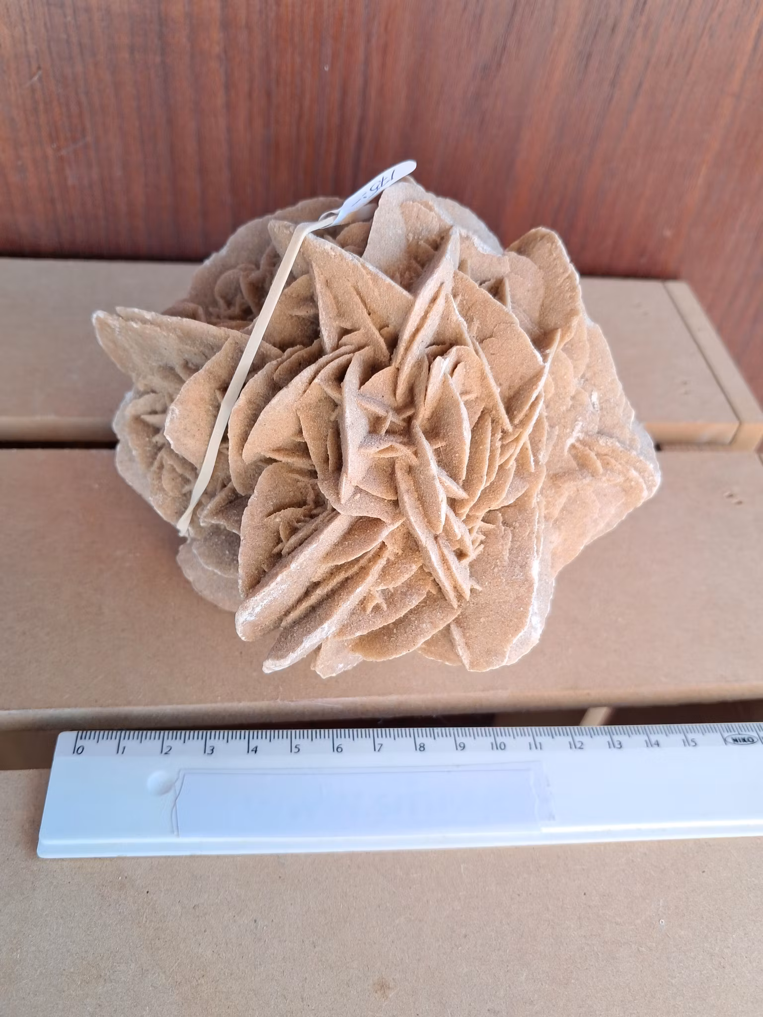 Ökenros   1172gr