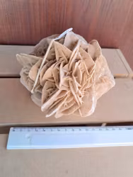 Ökenros   1172gr