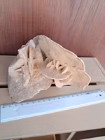 Ökenros, 908gr