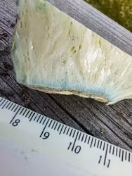 Blue Ice