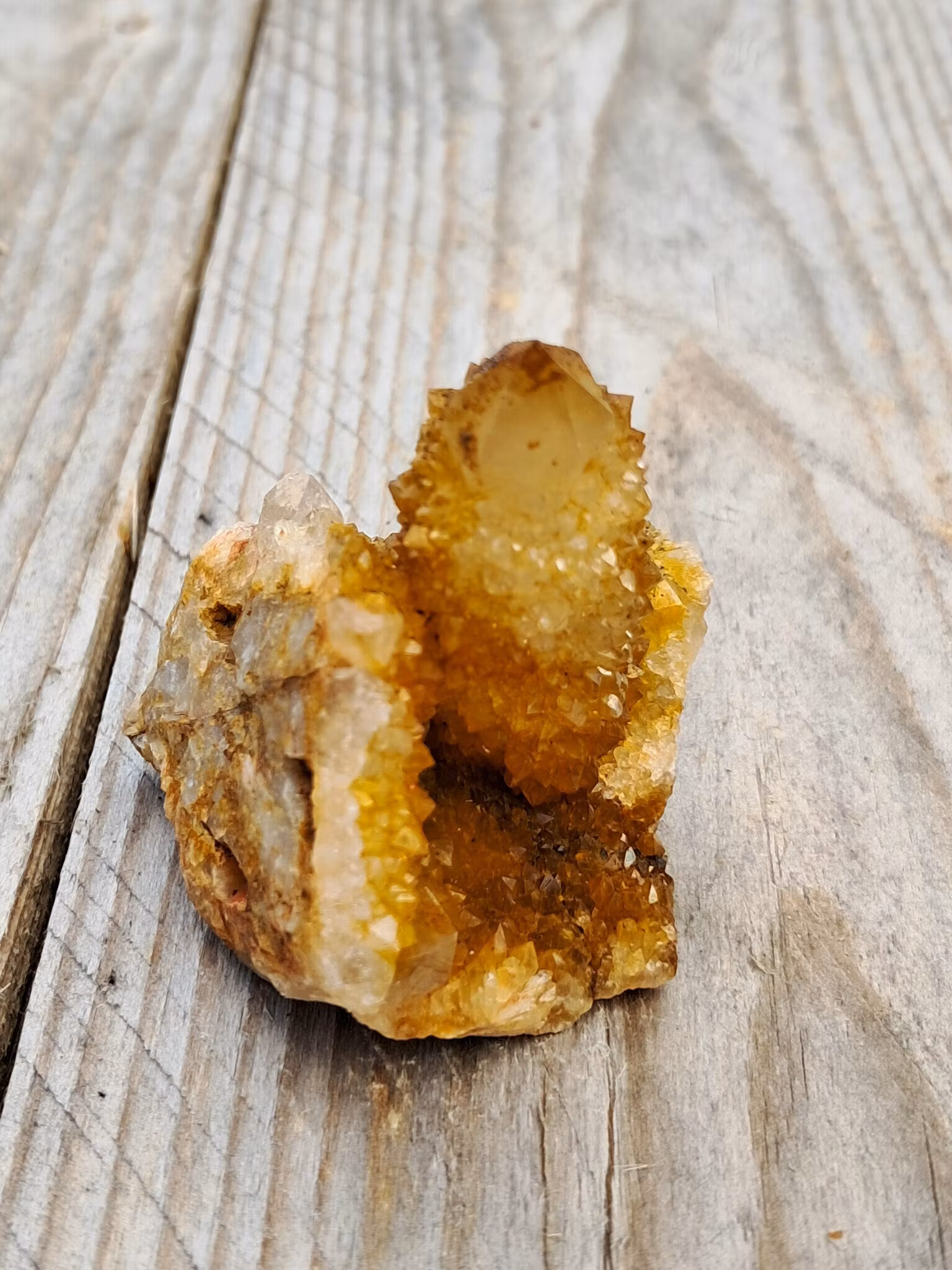 Andekvarts, "Golden", 75gr, 55mm