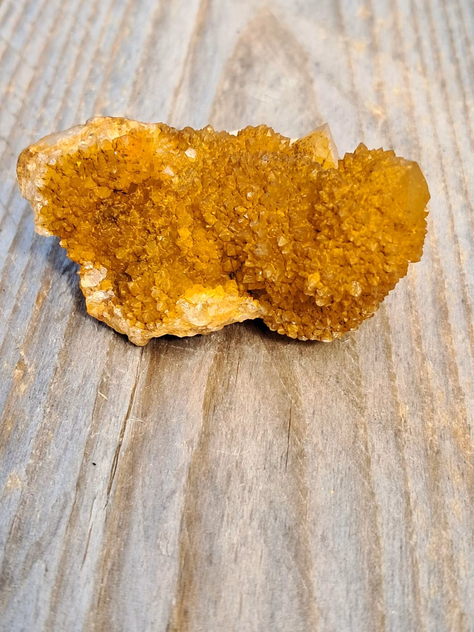 Andekvarts, "Golden", 59gr, 50mm