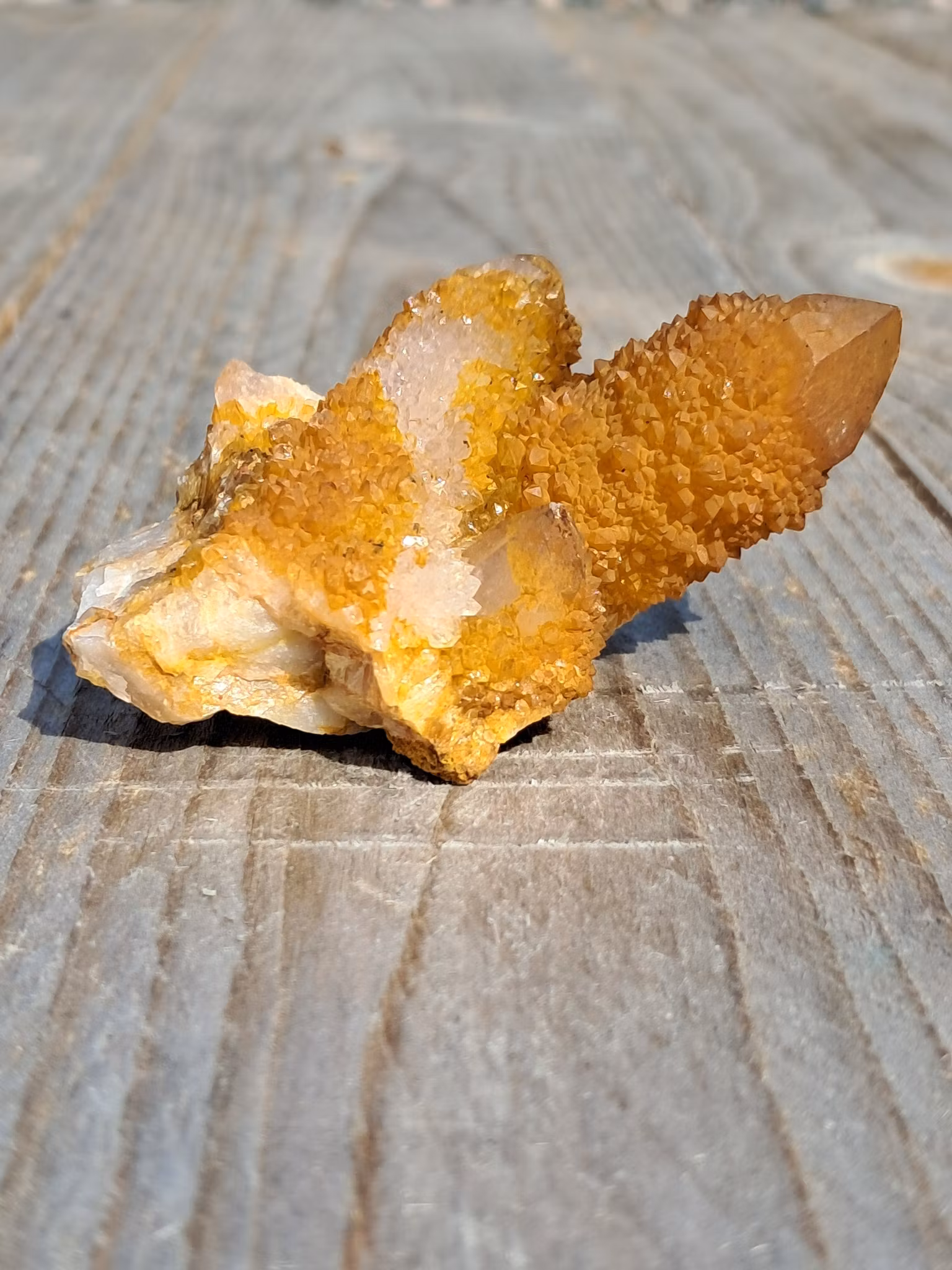 Andekvarts, "Golden", 58gr, 60mm