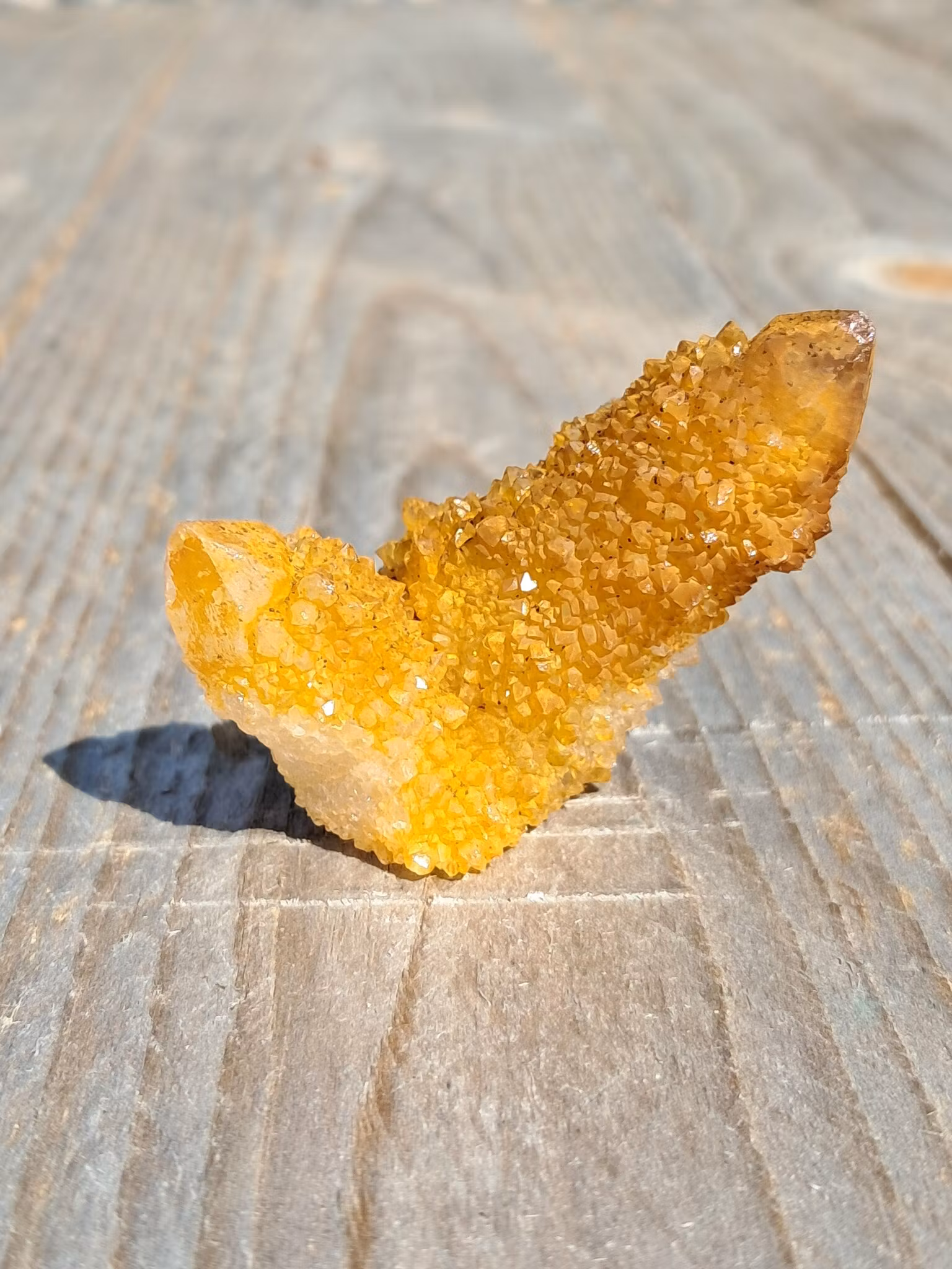 Andekvarts, "Golden", 38gr, 45mm
