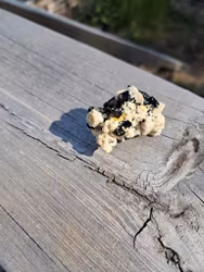 Schorl/svart Turmalin på matris, 19gr