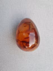 Karneol, ägg     113gr  55*39mm