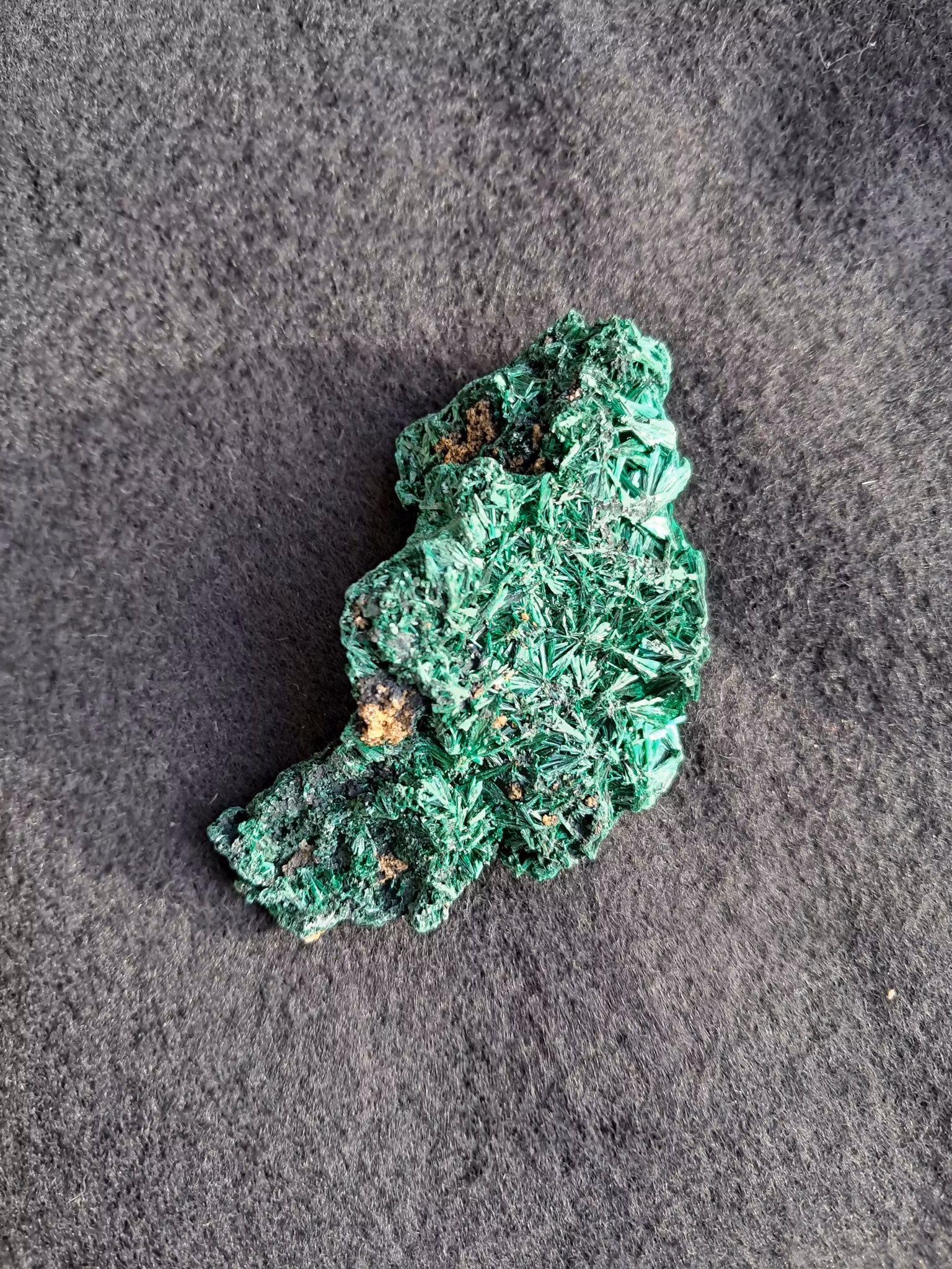 Sammets-malakit,  70gr  77mm