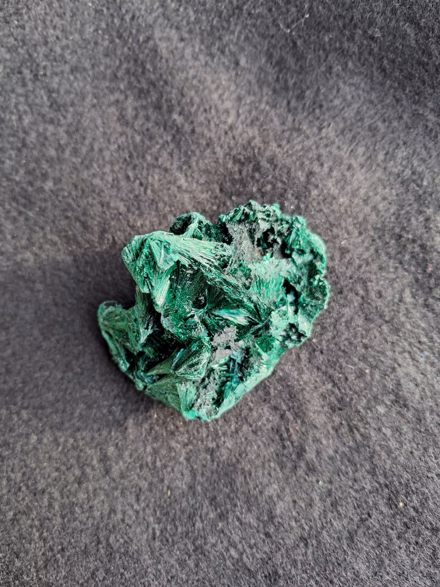 Sammets-malakit,  70gr  57mm