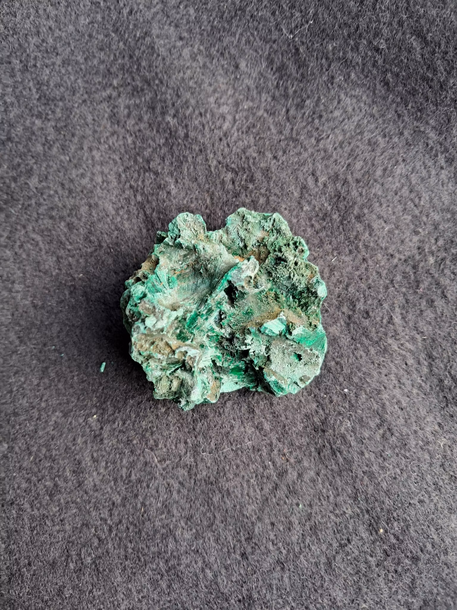 Sammets-malakit,  65gr  46mm