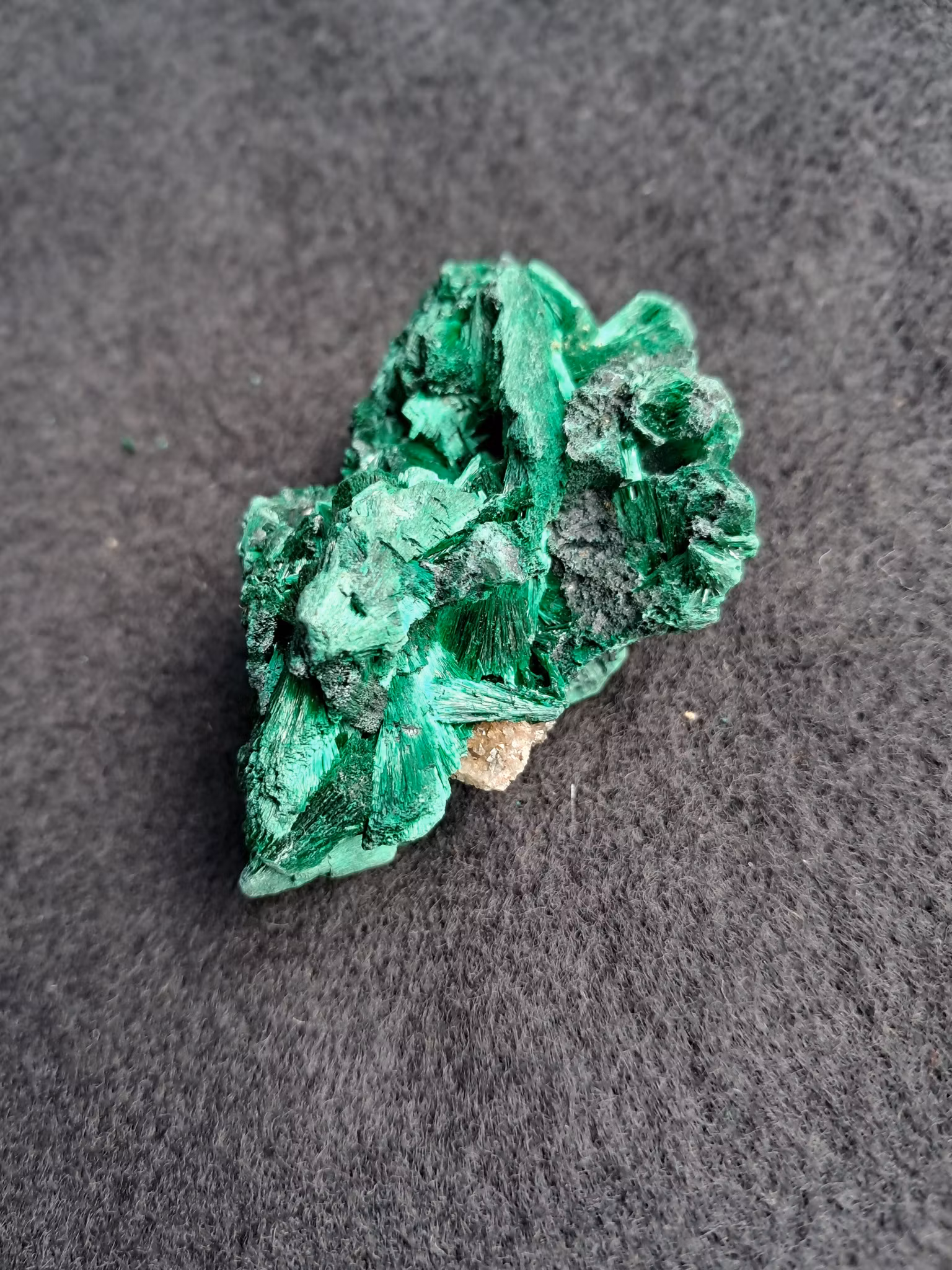 Sammets-malakit,  71gr  54mm