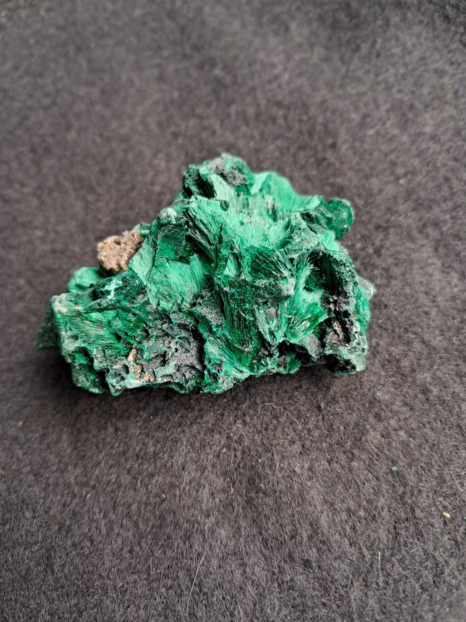 Sammets-malakit,  71gr  54mm