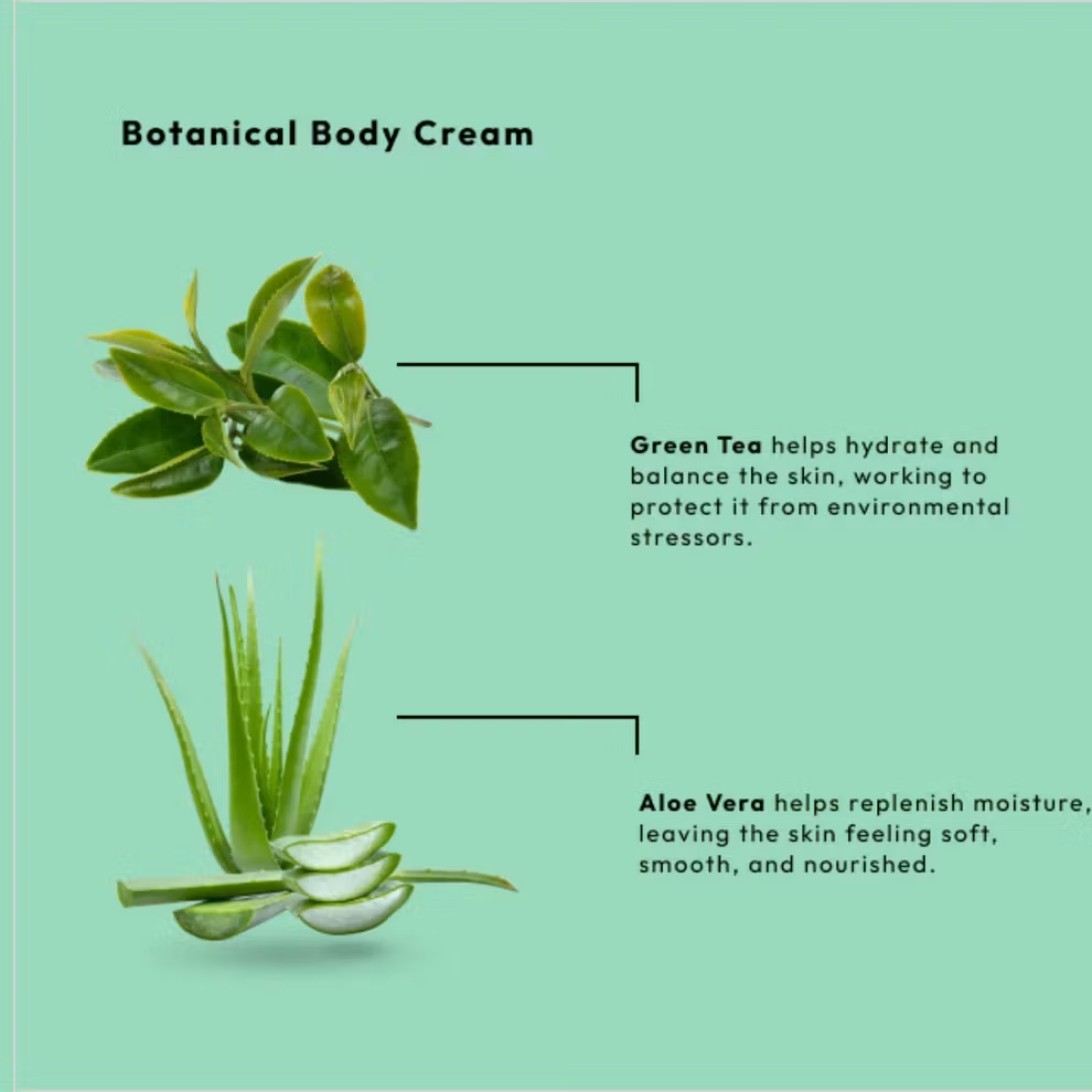 Body Cream - Green Tea