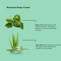 Body Cream - Green Tea