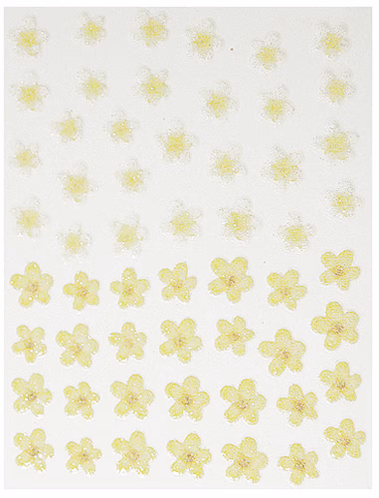Blommor 10