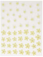 Blommor 10