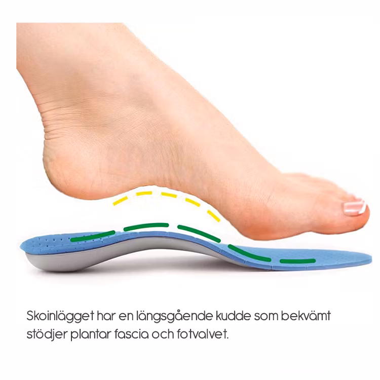 Skosula pronasjon