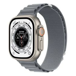Alpine Loop Strap Grå