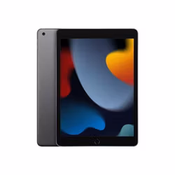 Apple iPad Wi-Fi 64GB Rymdgrå