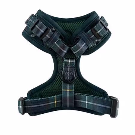 Tartan Sele xs - Woof-kollektion