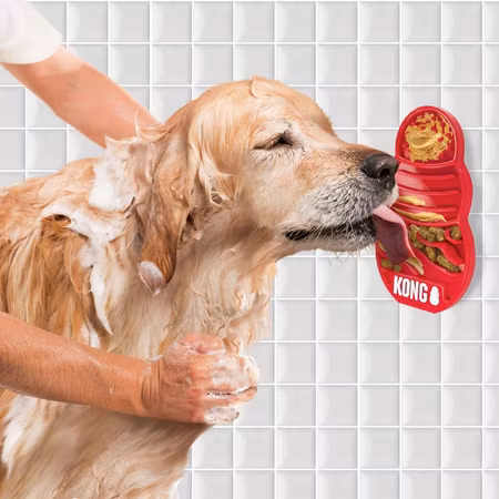 Kong Licks L