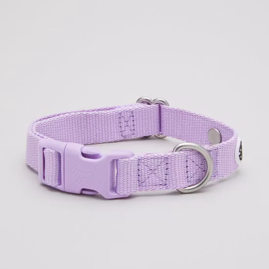 Lilac Dog Collar S Barkalot