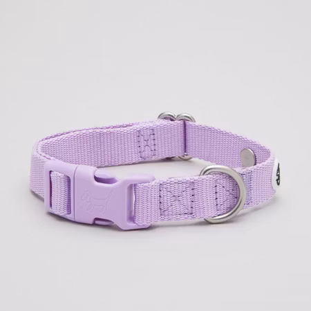 Lilac Dog Collar M Barkalot