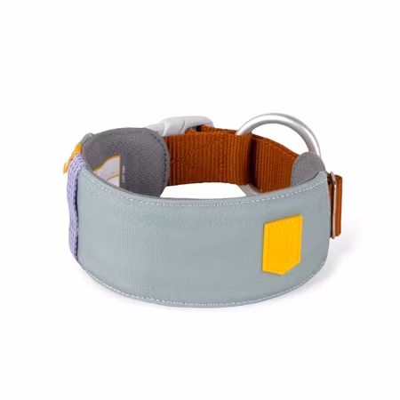 Halsband Alpha 360 Glacier Green - L