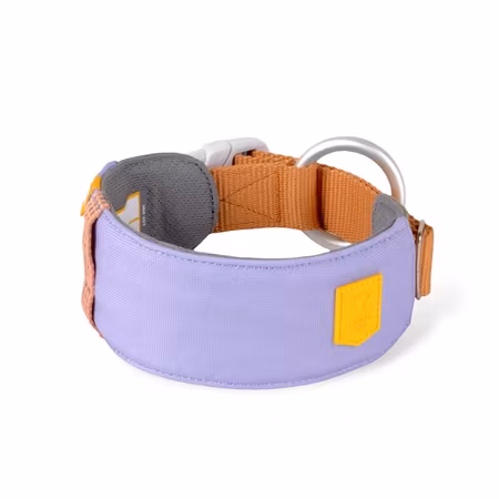 Halsband Alpha 360 Lavender  - L