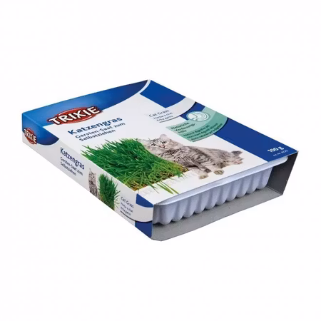 Kattgräs med odlingslåda 100 g