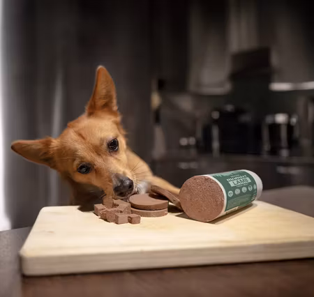 Sausage Lamb 200 g Dog Monster