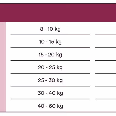 GF Adult Red Meat 12 kg Monster Dog