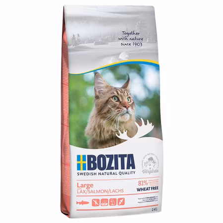 Large Wheat Free Salmon Kattmat 2kg