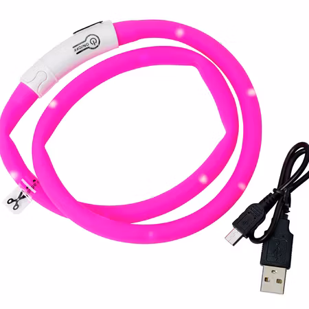 Blinkhalsband LED