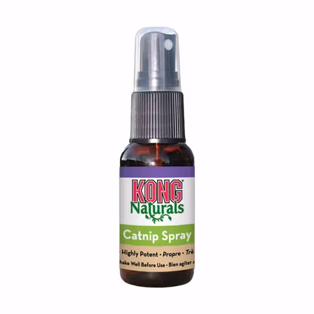 Kattmynta Spray Kong