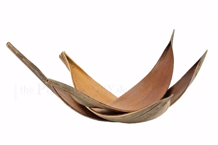 Kokoslöv