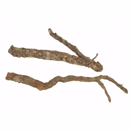 Grenar reptil/smådjur
