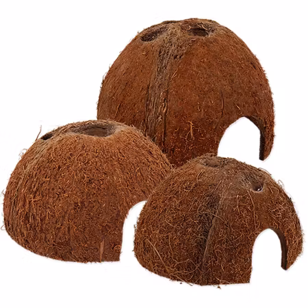 Kokosskal