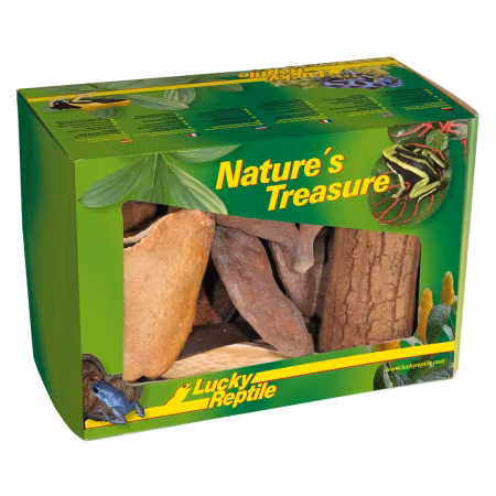 Dekorationsbox Nature's Treasure