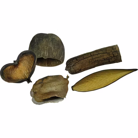 Dekorationsbox Nature's Treasure