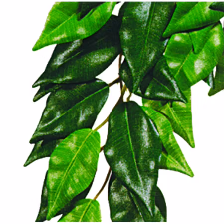 Ficus S Plastväxt Exoterra
