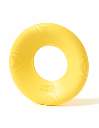 Fly Toy Earth Rated