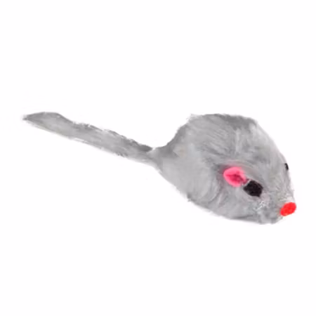 Pälsmus Med Kattmynta