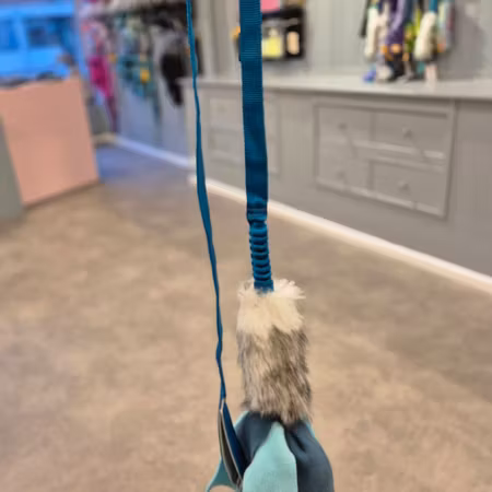 Kampleksak Lång Bläckfisk Bungee Zayma