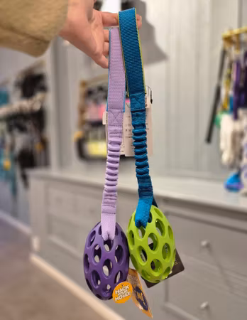JW Pet Hol-EE Football Bungee Kampleksak Zayma