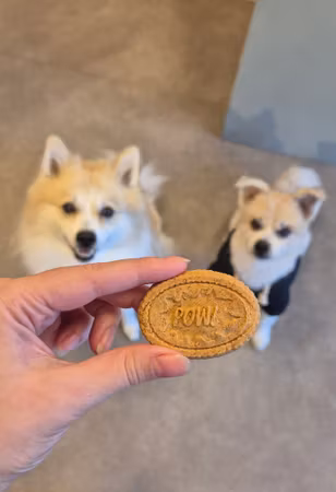 GF Pork Cookies POW! 400g