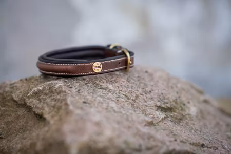 Fast Läderhalsband Jacson 30cm-60cm (flera storlekar)