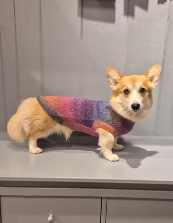 Stickad tröja regnbåge 20-35cm (flera storlekar)