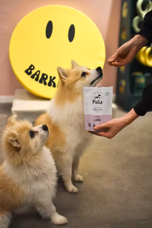 Lamb Treats 100g Pala